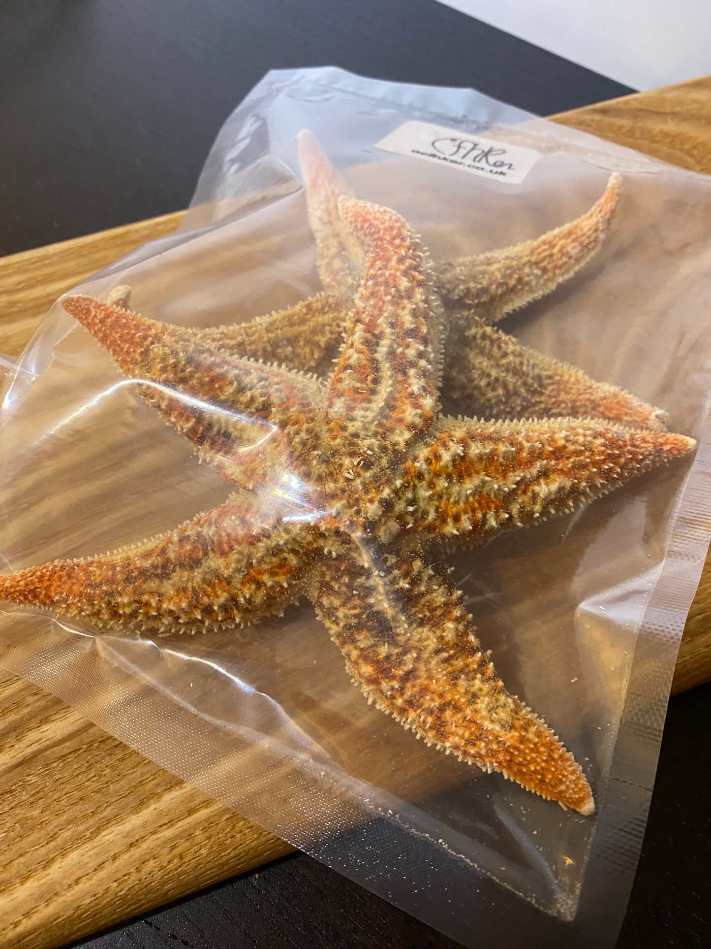 Dried Starfish 乾海星