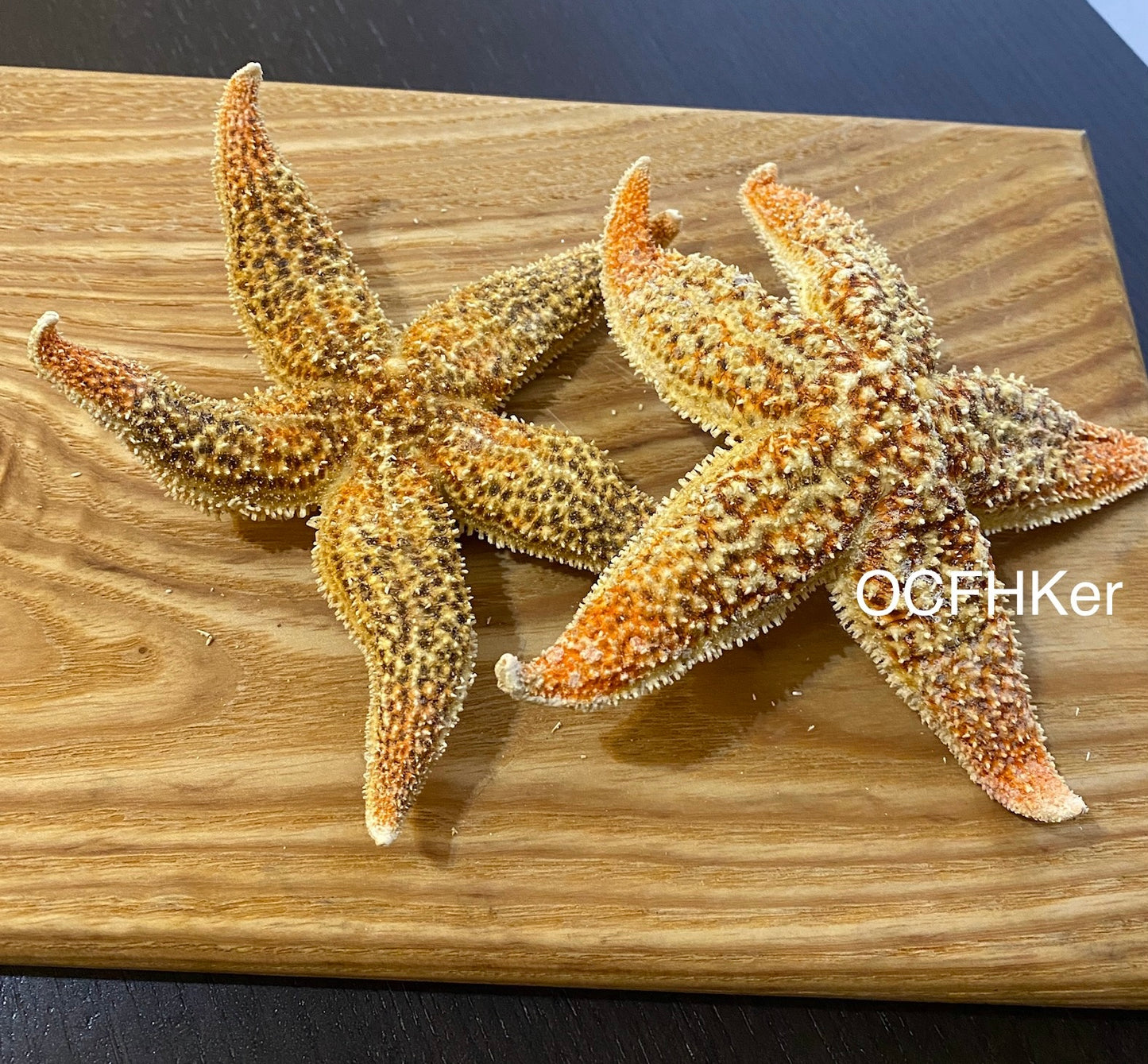 Dried Starfish 乾海星