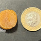 Dried Scallop 日本SAS元貝